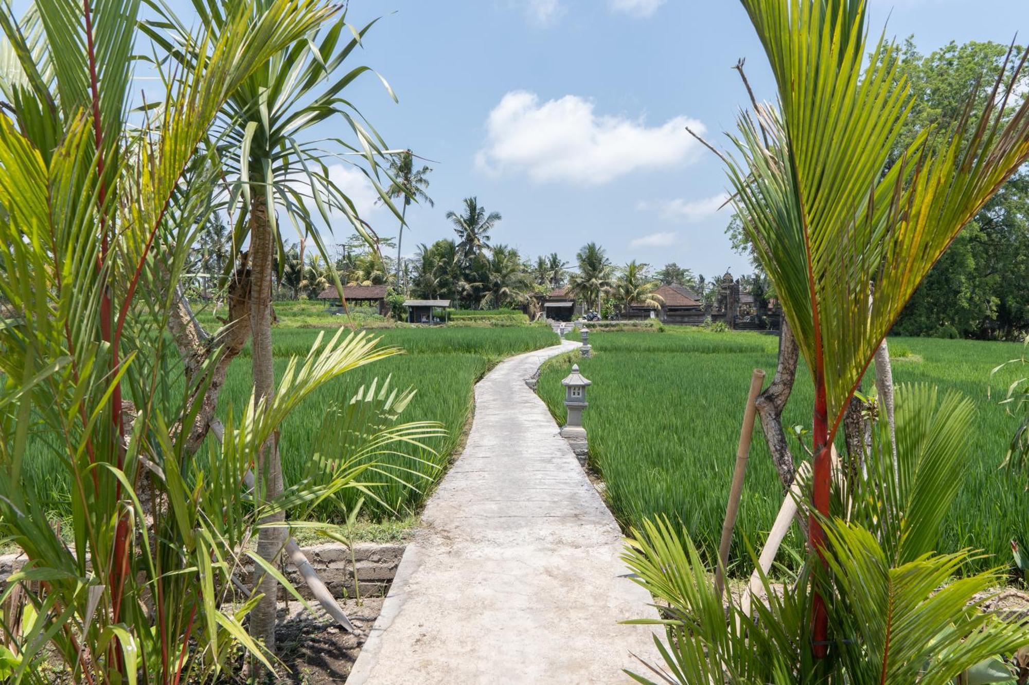 Uma Sri Dewi Villa Ubud Esterno foto